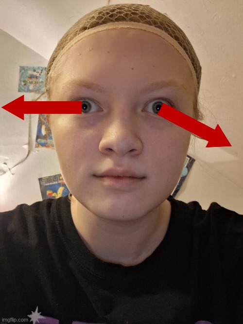 the chameleon | image tagged in nat stare | made w/ Imgflip meme maker