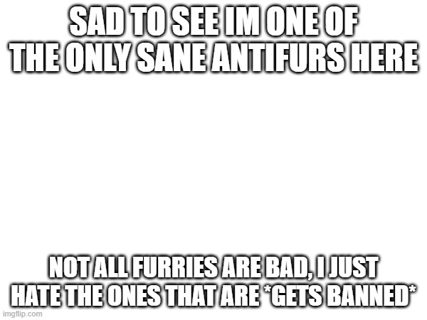 SAD TO SEE IM ONE OF THE ONLY SANE ANTIFURS HERE; NOT ALL FURRIES ARE BAD, I JUST HATE THE ONES THAT ARE *GETS BANNED* | made w/ Imgflip meme maker