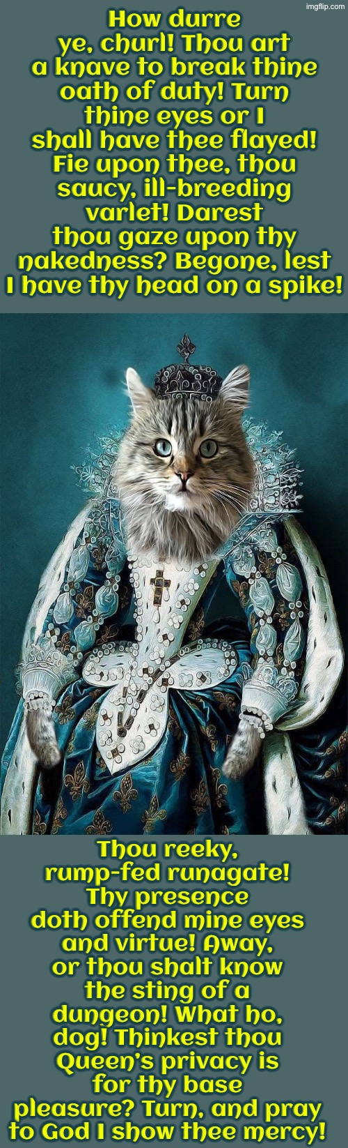 How Durre Ye, Churl! | How durre ye, churl! Thou art a knave to break thine oath of duty! Turn thine eyes or I shall have thee flayed! Fie upon thee, thou saucy, ill-breeding varlet! Darest thou gaze upon thy nakedness? Begone, lest I have thy head on a spike! Thou reeky, rump-fed runagate! Thy presence doth offend mine eyes and virtue! Away, or thou shalt know the sting of a dungeon! What ho, dog! Thinkest thou Queen’s privacy is for thy base pleasure? Turn, and pray to God I show thee mercy! | image tagged in cats,medieval memes,funny cats,the queen,naked woman,peeping tom | made w/ Imgflip meme maker