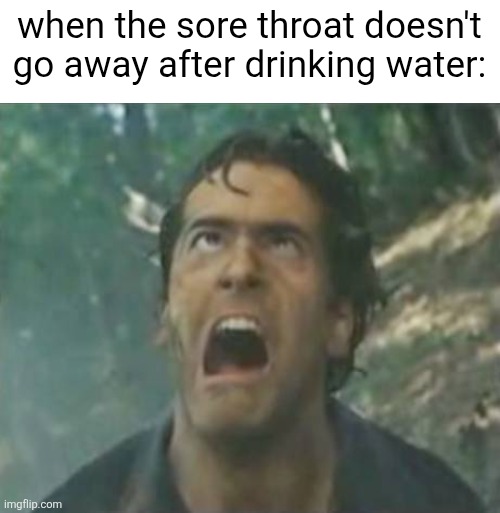 every freaking time | when the sore throat doesn't go away after drinking water: | image tagged in agony ash - evil dead,cold,screaming,memes,funny | made w/ Imgflip meme maker