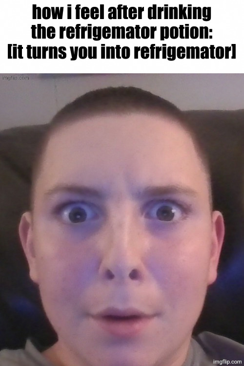 refrigemator stare | how i feel after drinking the refrigemator potion:
[it turns you into refrigemator] | image tagged in refrigemator stare | made w/ Imgflip meme maker