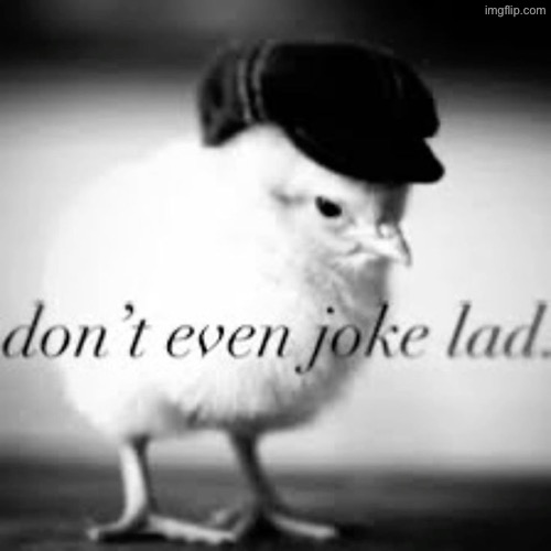 I can’t affiliate with any of you anymore after this | made w/ Imgflip meme maker