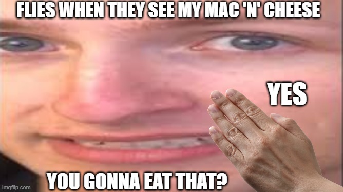 tewtiy face | FLIES WHEN THEY SEE MY MAC 'N' CHEESE; YES; YOU GONNA EAT THAT? | image tagged in tewtiy face | made w/ Imgflip meme maker