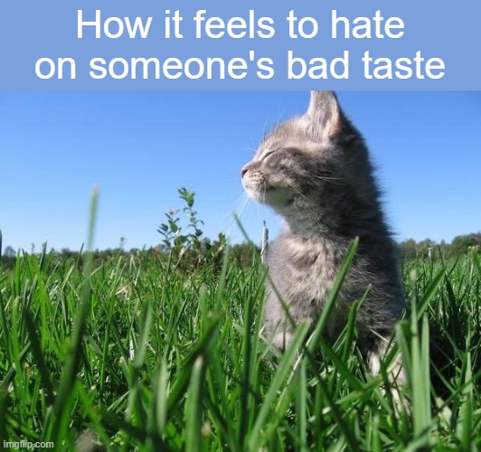 title or something imaginative | How it feels to hate on someone's bad taste | image tagged in rmk | made w/ Imgflip meme maker