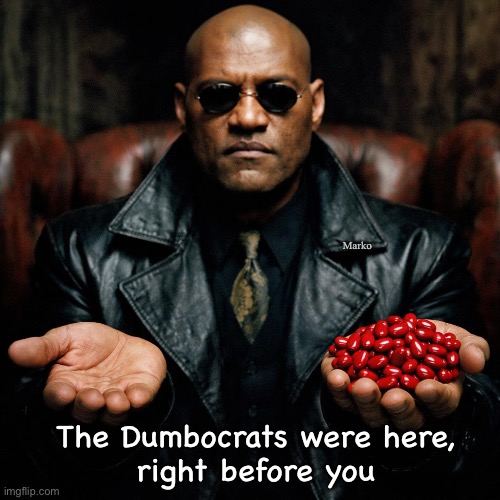 Dems are Blue -- Repubs are Red | Marko; The Dumbocrats were here,
right before you | image tagged in memes,the matrix explains it all,can choose reality or bizarro world,one is better than the other,way better | made w/ Imgflip meme maker