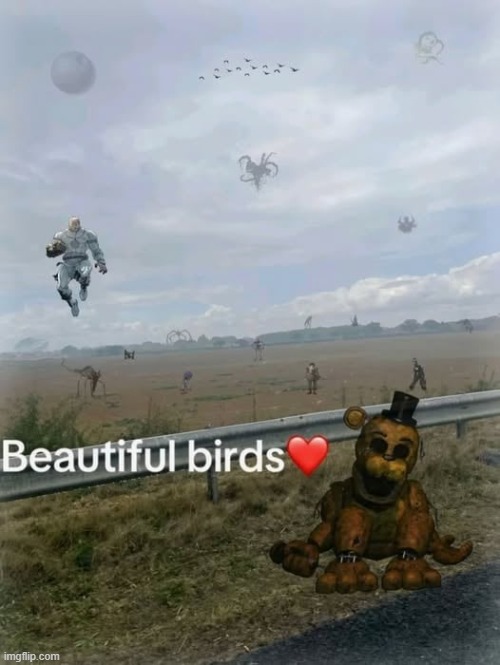 best birds i have ever seen | image tagged in no references at all,shitpost | made w/ Imgflip meme maker