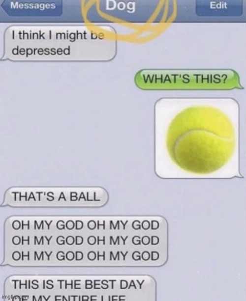 me and dog | image tagged in shitpost | made w/ Imgflip meme maker