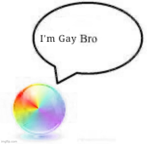 I'm Gay Bro | image tagged in i'm gay bro | made w/ Imgflip meme maker