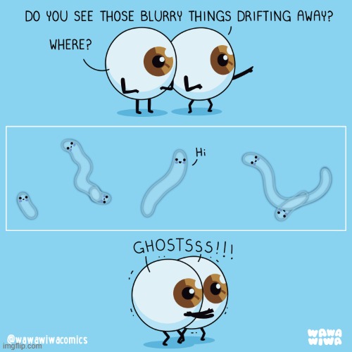 image tagged in eyes,eyeballs,floaters,hi,ghosts,scared | made w/ Imgflip meme maker