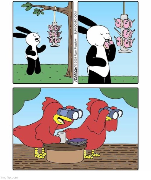 Buni Comics | image tagged in comics,buni comics,doughnuts,birds,feeder,buni watching | made w/ Imgflip meme maker