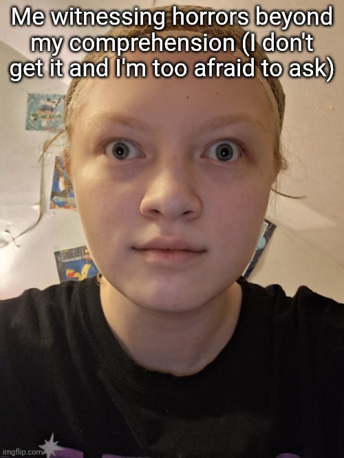 nat stare | Me witnessing horrors beyond my comprehension (I don't get it and I'm too afraid to ask) | image tagged in nat stare | made w/ Imgflip meme maker
