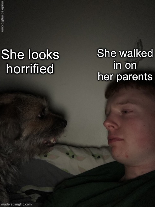 Dog talk but fixed | She looks horrified She walked in on her parents | image tagged in dog talk but fixed | made w/ Imgflip meme maker