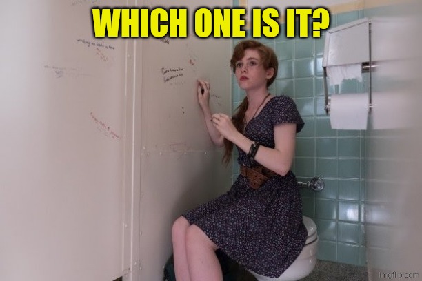 Beverly Marsh which one is it? | WHICH ONE IS IT? | image tagged in beverly marsh which one is it | made w/ Imgflip meme maker