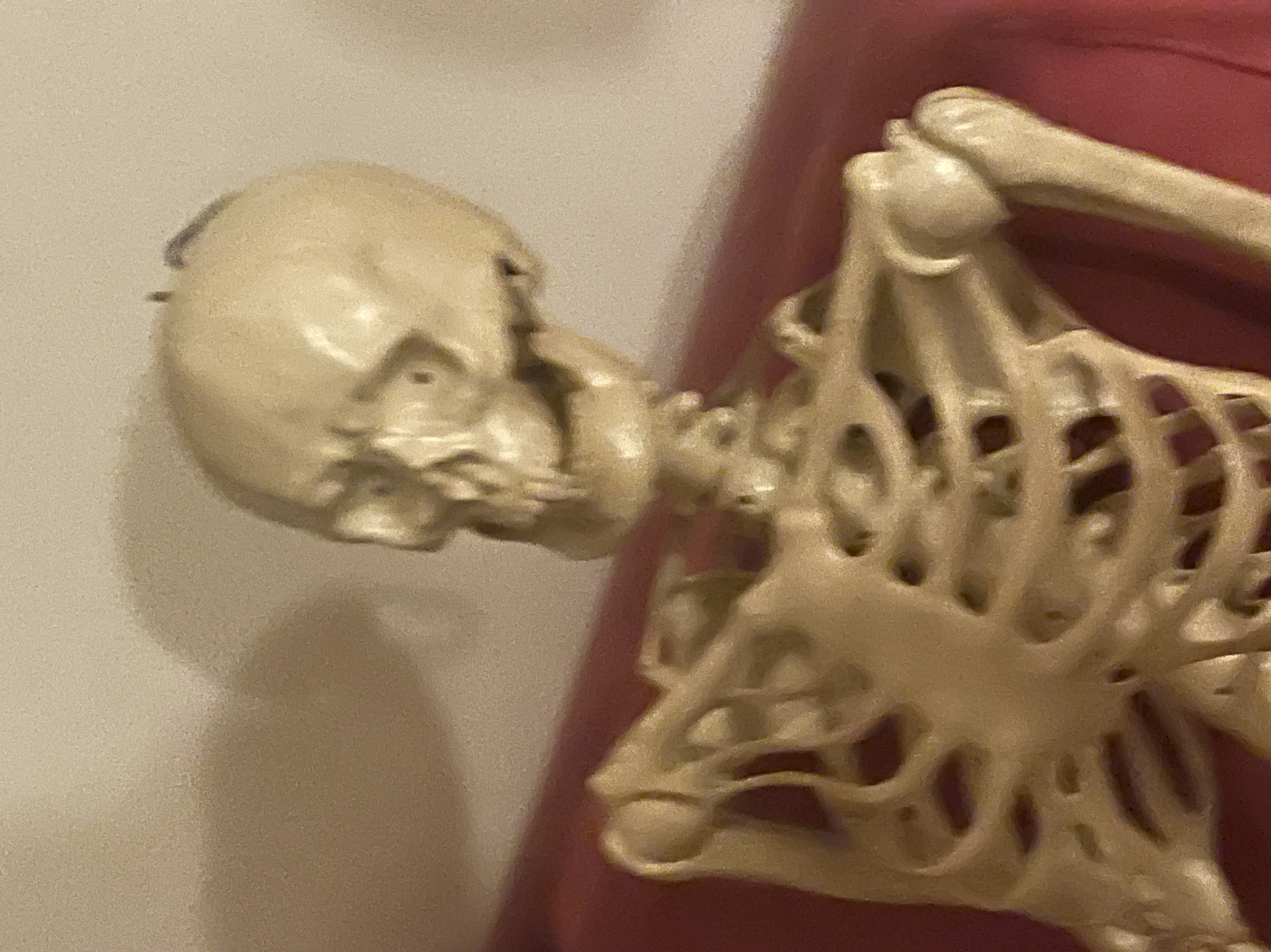 Shocked skeleton Blank Meme Template