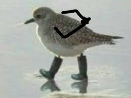 Well… Blank Meme Template