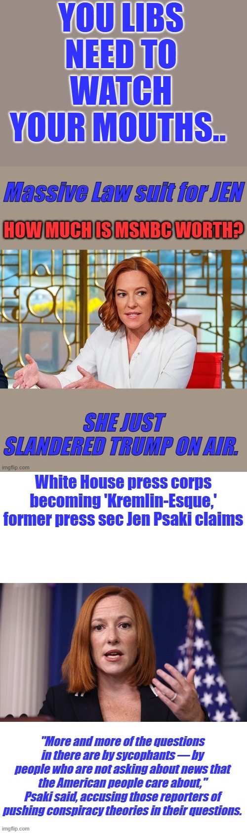 SUE them into bankruptcy | YOU LIBS NEED TO WATCH YOUR MOUTHS.. | made w/ Imgflip meme maker