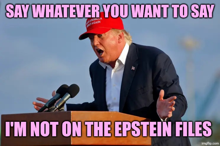 DONALD TRUMP MAGA HAT | SAY WHATEVER YOU WANT TO SAY; I'M NOT ON THE EPSTEIN FILES | image tagged in donald trump maga hat | made w/ Imgflip meme maker