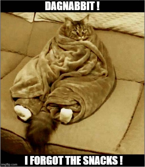 Just When You Get All Nice And Comfy ... | DAGNABBIT ! I FORGOT THE SNACKS ! | image tagged in cats,comfortable,dagnabbit,snacks | made w/ Imgflip meme maker