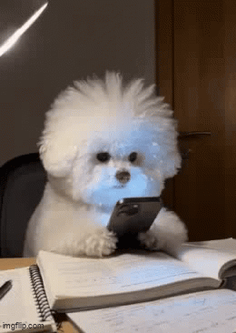 You Are Doing Your Homework ? - Imgflip