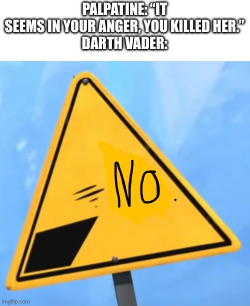 “NOOOOOOOOOOOOOOO” | PALPATINE: “IT SEEMS IN YOUR ANGER, YOU KILLED HER.”
DARTH VADER: | image tagged in sign says no,star wars,darth vader,darth vader no | made w/ Imgflip meme maker