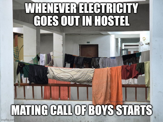 Hostel meme | WHENEVER ELECTRICITY GOES OUT IN HOSTEL; MATING CALL OF BOYS STARTS | image tagged in college | made w/ Imgflip meme maker