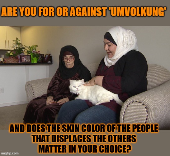 This #lolcat wonders why many hoo-mens are okay with people replacing original inhabitants | ARE YOU FOR OR AGAINST 'UMVOLKUNG'; AND DOES THE SKIN COLOR OF THE PEOPLE 
THAT DISPLACES THE OTHERS 
MATTER IN YOUR CHOICE? | image tagged in replacement,immigration,racism,lolcat | made w/ Imgflip meme maker