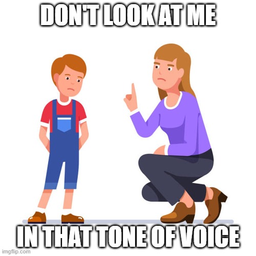 Don't look at me in that tone of voice | DON'T LOOK AT ME; IN THAT TONE OF VOICE | image tagged in funny | made w/ Imgflip meme maker