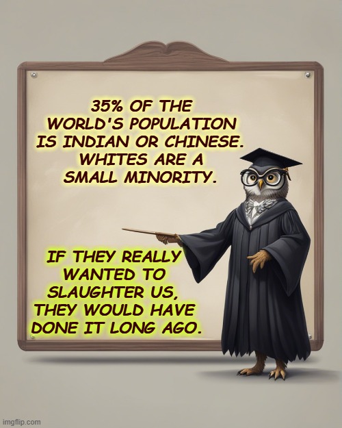 White supremacy and "race science" are garbage. Fear with no facts. | 35% OF THE 
WORLD'S POPULATION 
IS INDIAN OR CHINESE. 
WHITES ARE A 
SMALL MINORITY. IF THEY REALLY 
WANTED TO 
SLAUGHTER US, 
THEY WOULD HAVE 
DONE IT LONG AGO. | image tagged in white supremacy,race bannon,race,science,garbage,asians | made w/ Imgflip meme maker