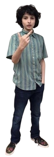 Finn Wolfhard Sybau Blank Meme Template