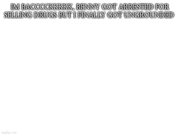 Yay | IM BACCCCKKKKK, BENNY GOT ARRESTED FOR SELLING DRUGS BUT I FINALLY GOT UNGROUNDED | image tagged in penny is back hehe | made w/ Imgflip meme maker