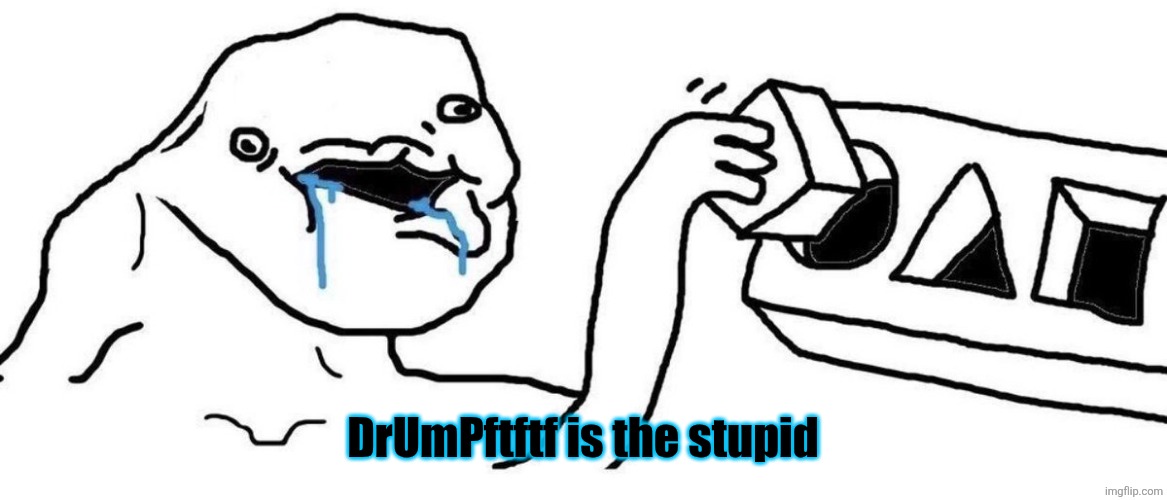 Brainlet blocks | DrUmPftftf is the stupid | image tagged in brainlet blocks | made w/ Imgflip meme maker