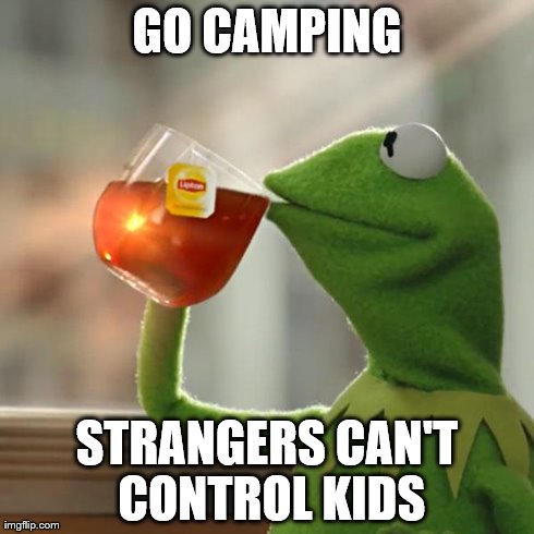 But That's None Of My Business | GO CAMPING STRANGERS CAN'T CONTROL KIDS | image tagged in memes,but thats none of my business,kermit the frog | made w/ Imgflip meme maker