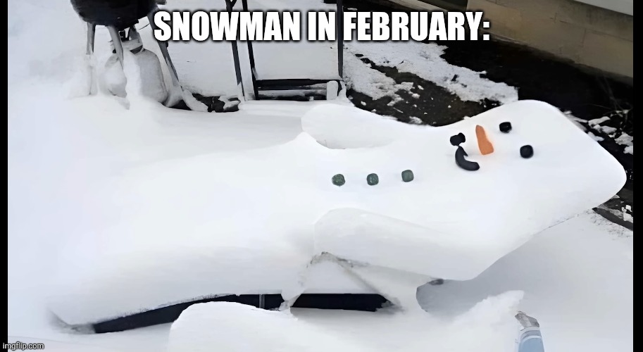 FINALLY GOING AWAY | SNOWMAN IN FEBRUARY: | image tagged in snow,snowman,winter | made w/ Imgflip meme maker