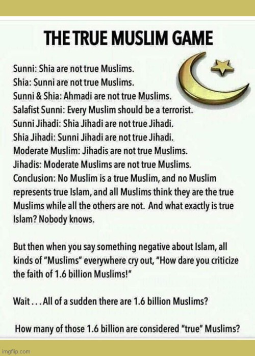 A Muslim identity crisis? | image tagged in political meme,islam,real muslims,conflict,moderates,extemists | made w/ Imgflip meme maker