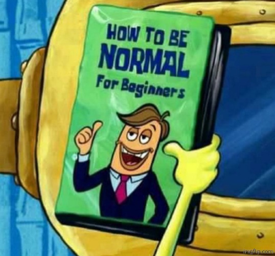 How to be normal for beginners | image tagged in how to be normal for beginners | made w/ Imgflip meme maker