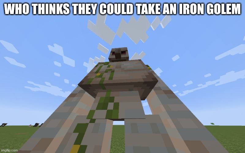 Iron Golem | WHO THINKS THEY COULD TAKE AN IRON GOLEM | image tagged in iron golem | made w/ Imgflip meme maker