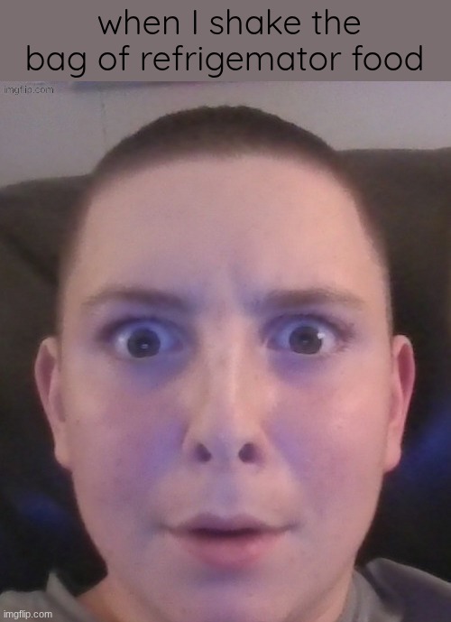 refrigemator stare | when I shake the bag of refrigemator food | image tagged in refrigemator stare | made w/ Imgflip meme maker