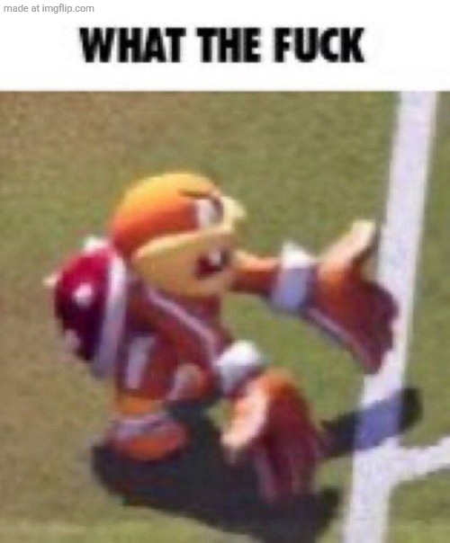What the heck | image tagged in what the heck | made w/ Imgflip meme maker