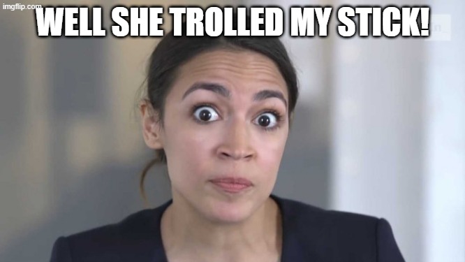 Crazy Alexandria Ocasio-Cortez | WELL SHE TROLLED MY STICK! | image tagged in crazy alexandria ocasio-cortez | made w/ Imgflip meme maker