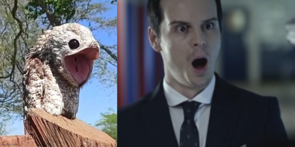 Same vibe | image tagged in bbc sherlock | made w/ Imgflip meme maker