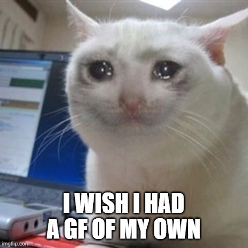 Crying cat | I WISH I HAD A GF OF MY OWN | image tagged in crying cat | made w/ Imgflip meme maker