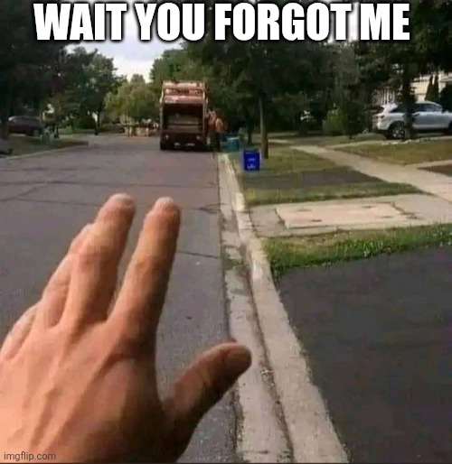 Wait You Forgot Me | WAIT YOU FORGOT ME | image tagged in chrisjoines1 | made w/ Imgflip meme maker