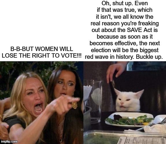 Stating the blatantly obvious is fun, sometimes. | image tagged in woman yelling at cat,memes,funny,liberal logic | made w/ Imgflip meme maker