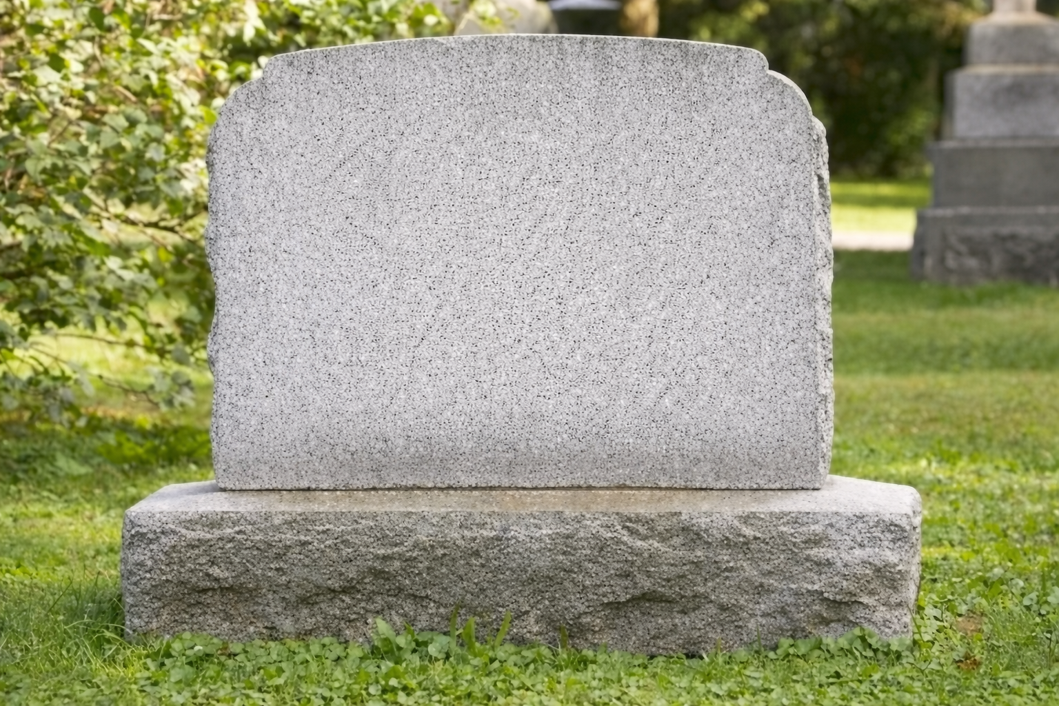 Reddit mod rip Blank Meme Template