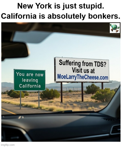 Which state is more dysfunctional right now: New York or California? | image tagged in maga,conservative,california,new york | made w/ Imgflip meme maker