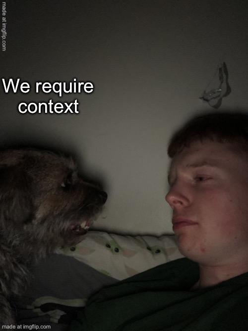 Dog talk but fixed | We require context | image tagged in dog talk but fixed | made w/ Imgflip meme maker