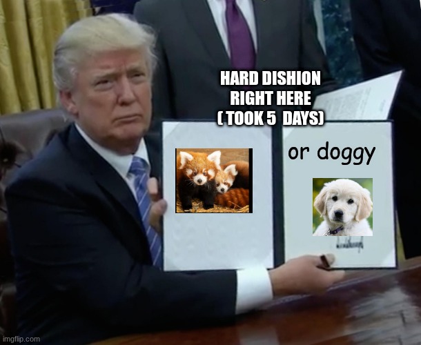 tell me wich u choose in comments pls | HARD DISHION RIGHT HERE ( TOOK 5  DAYS); or doggy | image tagged in memes,trump bill signing | made w/ Imgflip meme maker