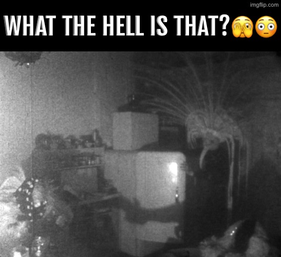 That Is Quite Unnerving | WHAT THE HELL IS THAT?🫣😳 | image tagged in cursed images,what is that,what a terrible day to have eyes,demon,what in the hot crispy kentucky fried frick | made w/ Imgflip meme maker