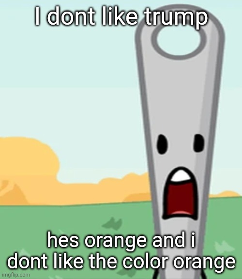 eg. X all the Y | I dont like trump; hes orange and i dont like the color orange | image tagged in eg x all the y | made w/ Imgflip meme maker