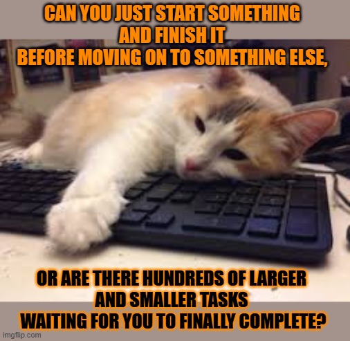 This #lolcat wonders why not all hoo-mans can simply start and finish a task | CAN YOU JUST START SOMETHING 
AND FINISH IT 
BEFORE MOVING ON TO SOMETHING ELSE, OR ARE THERE HUNDREDS OF LARGER 
AND SMALLER TASKS 
WAITING FOR YOU TO FINALLY COMPLETE? | image tagged in multitasking,lolcat,adhd,neurodivergent,autism | made w/ Imgflip meme maker